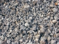 9010_resize